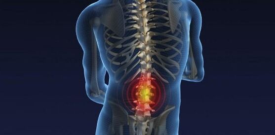lumbar Departement